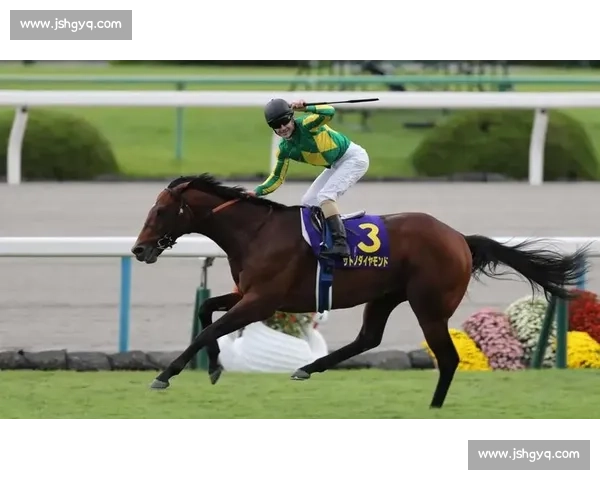 刚劲力登顶菊花赏！李慕华铸就三连冠传奇