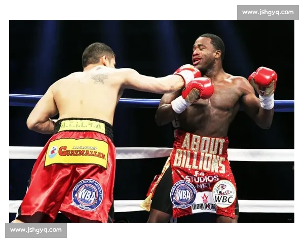 布罗纳对决麦达纳引爆拳坛风暴的速度力量巅峰之战经典传奇碰撞